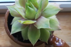 Towards light and positivity - Eileen