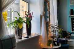 Home sweet home - Robert