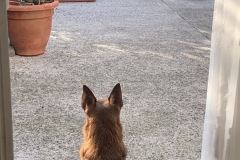 A pensive moment - Sandra