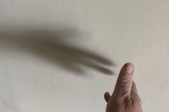 Be kind to your shadow - Sandra