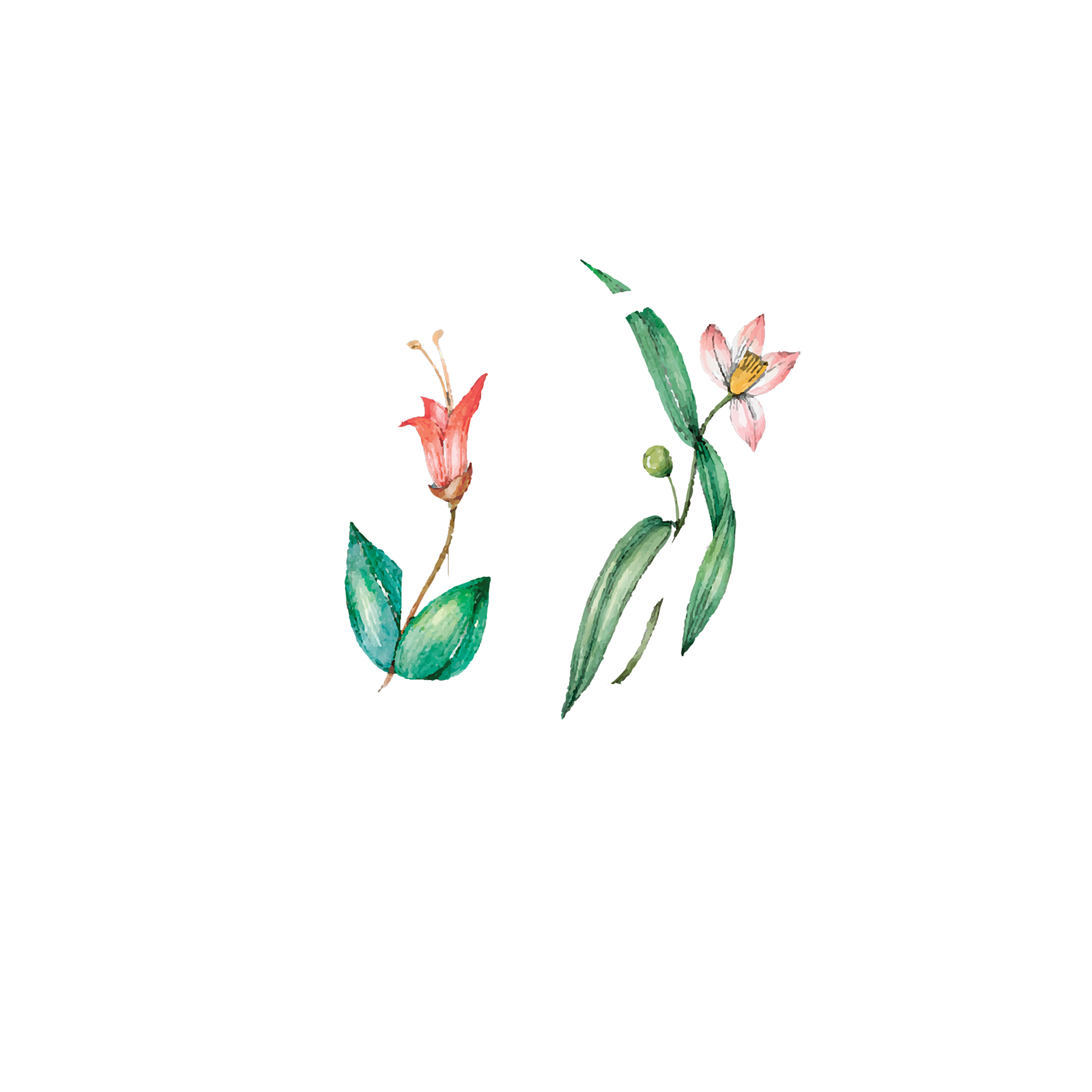 Click to read Day 12 - Movement