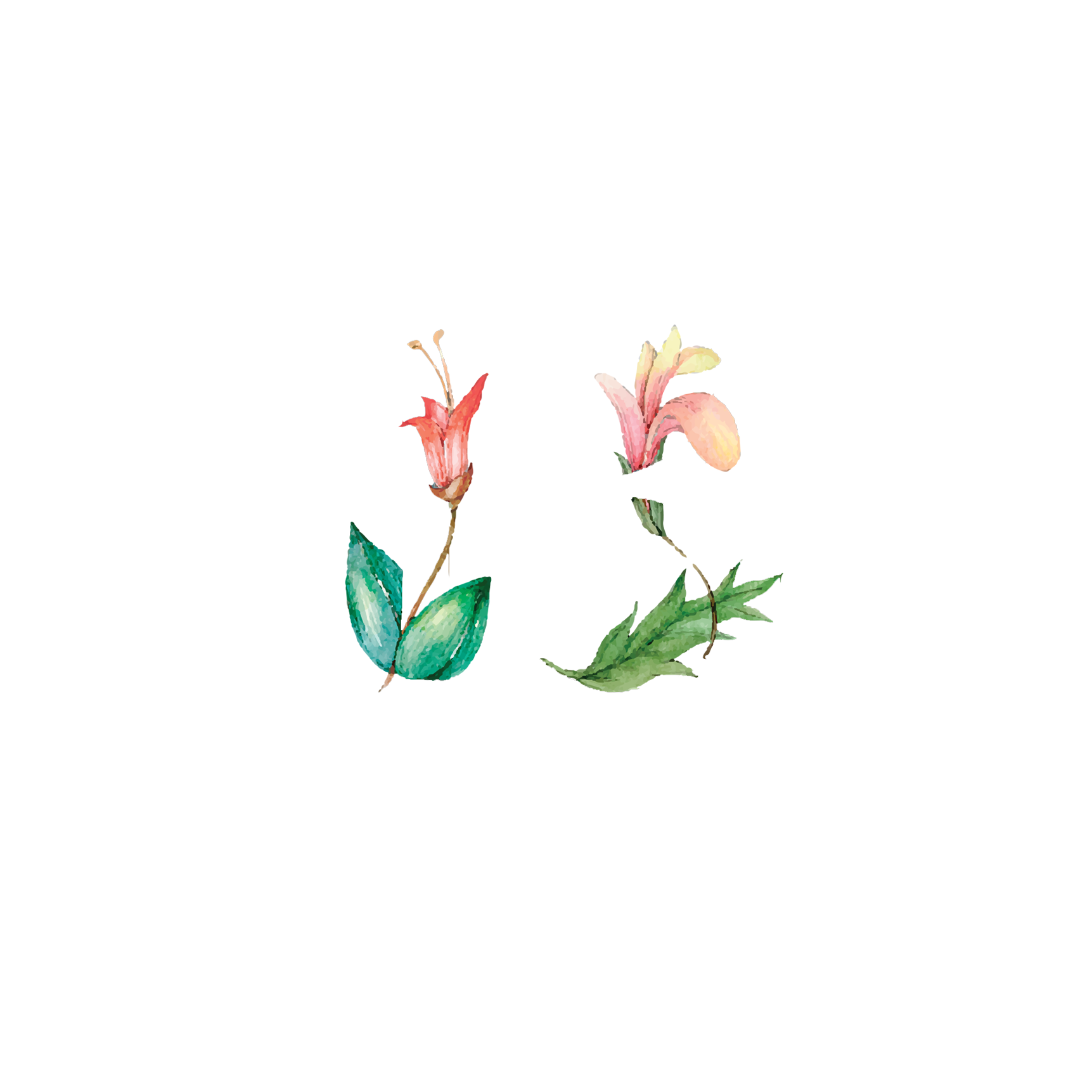 Click to read Day 13 - Senses