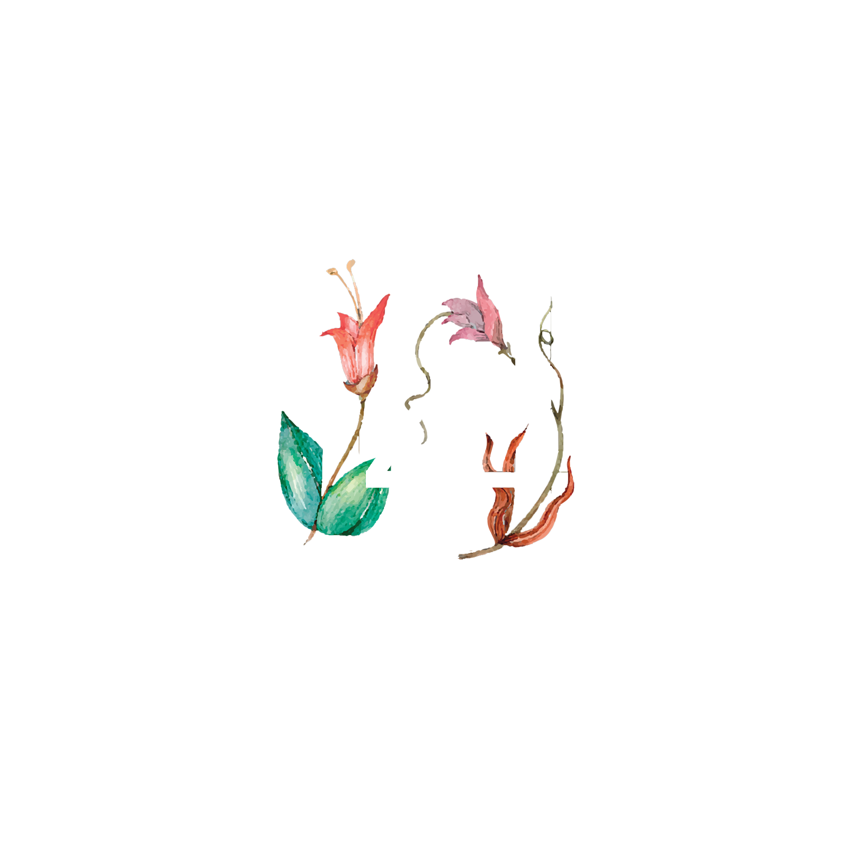 Click to read Day 14 - Reflecting
