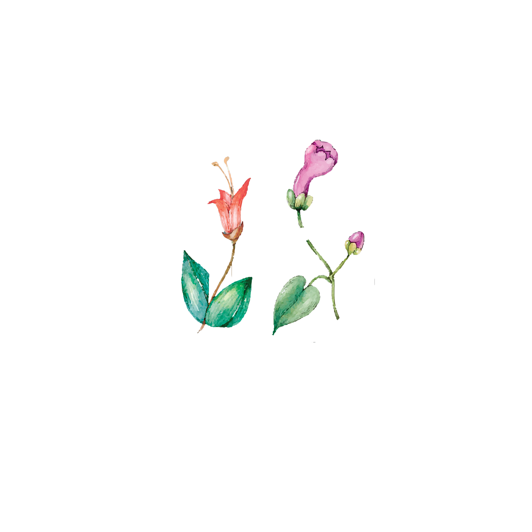 Click to read Day 15 - Breath