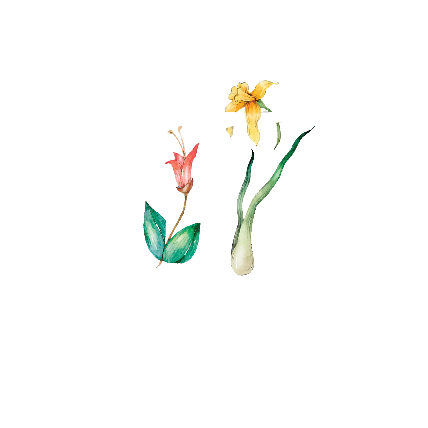 Click to read Day 17 - Kindness