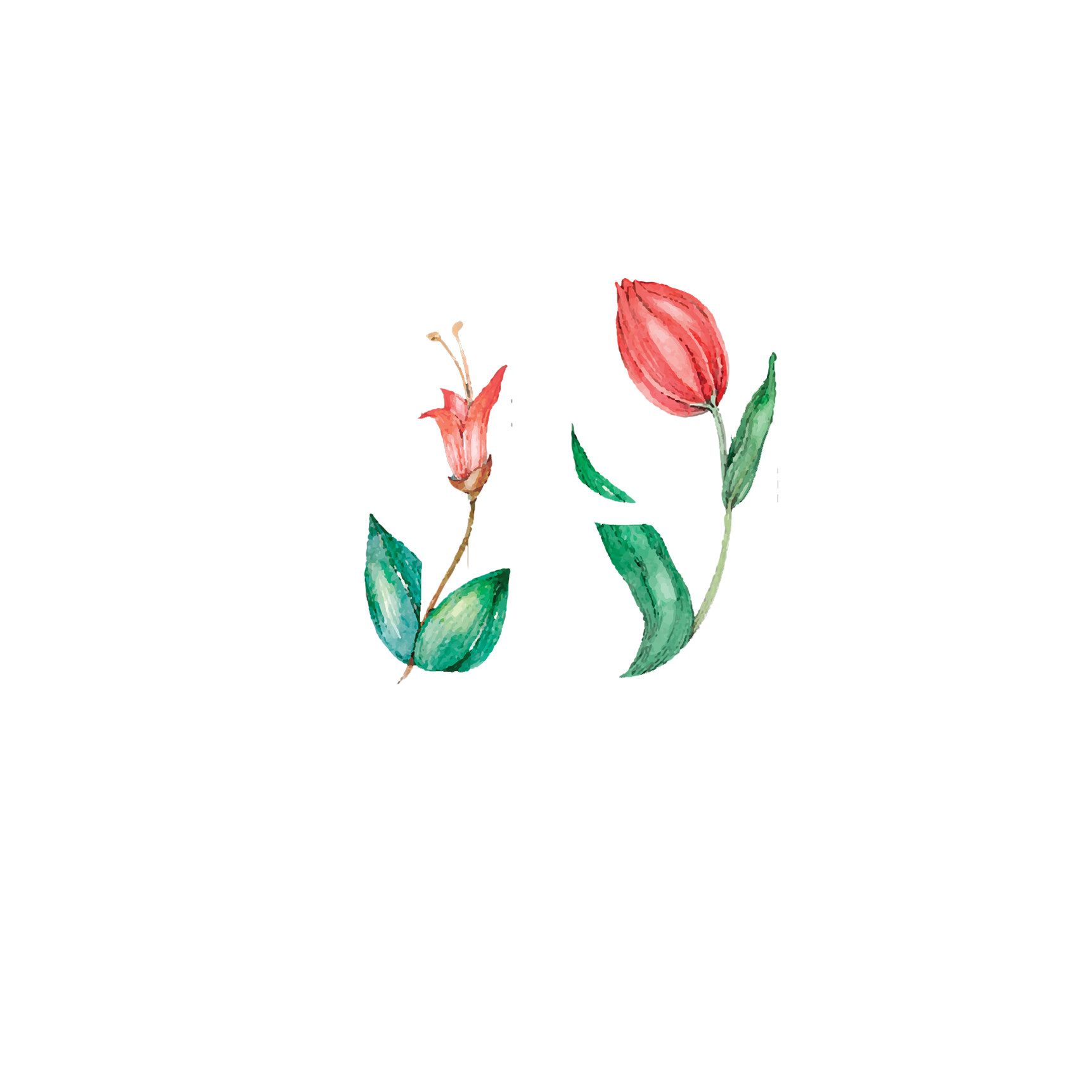 Click to read Day 19 - Slowing Down