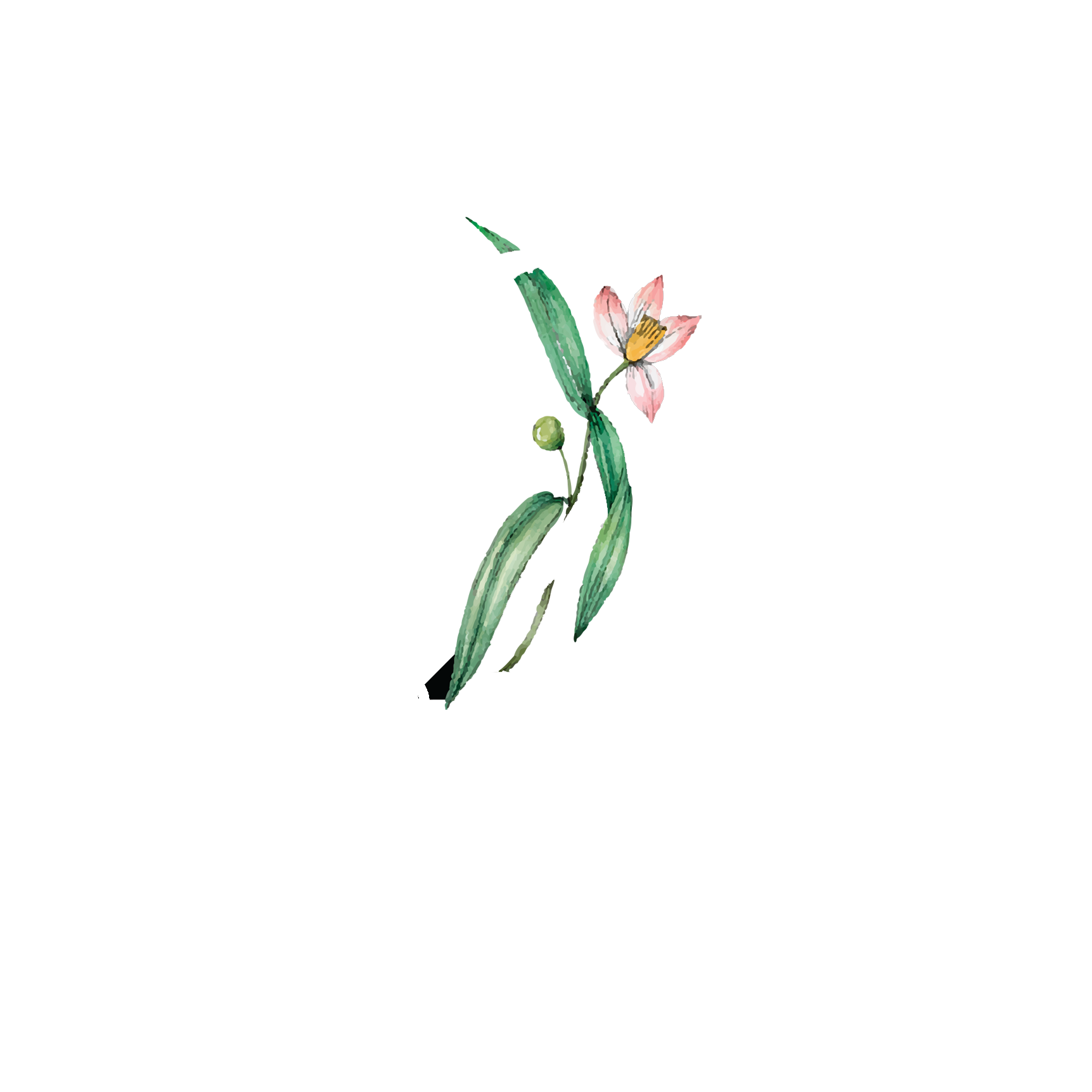 Click to read Day 2 Breath