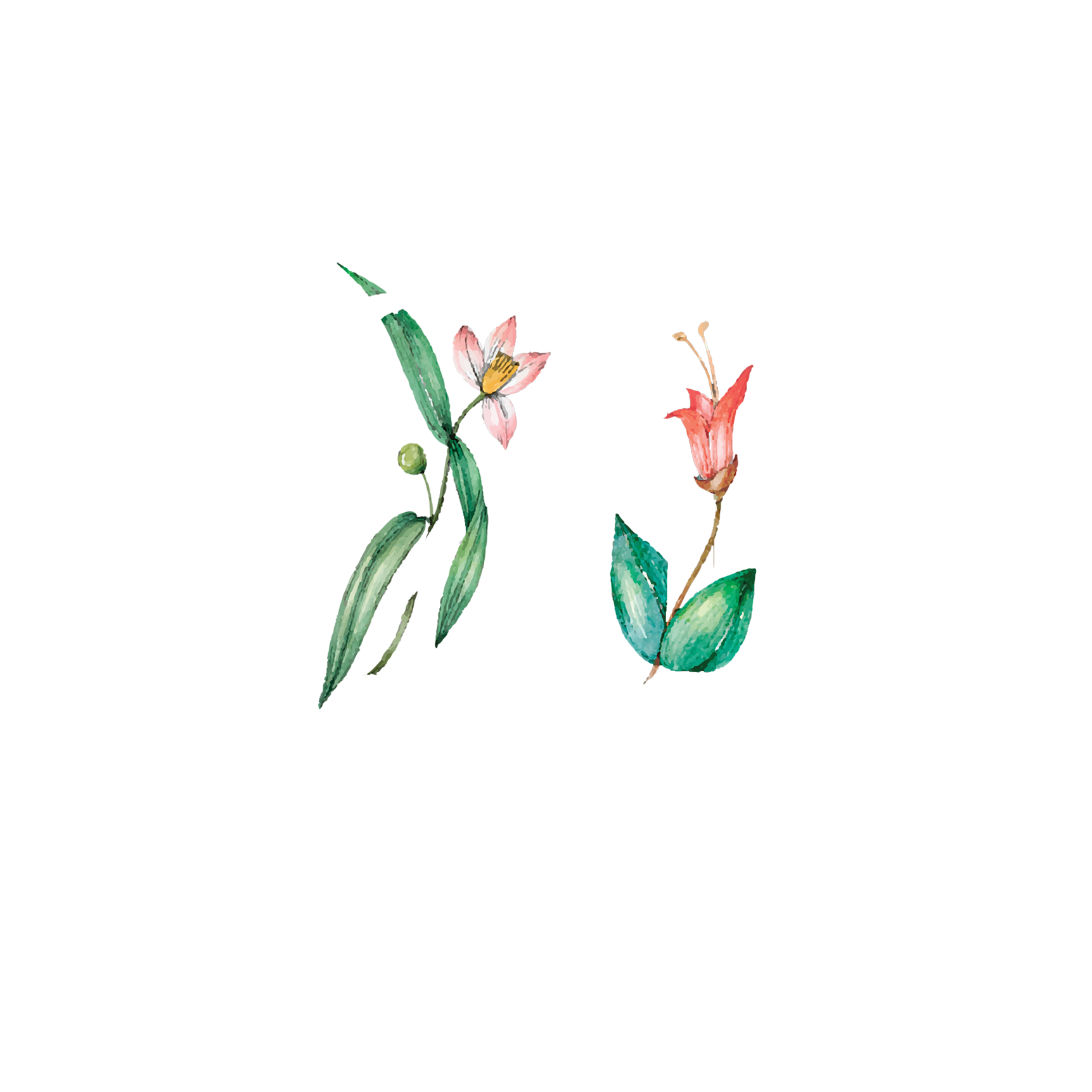 Click to read Day 21 -- Gratitude