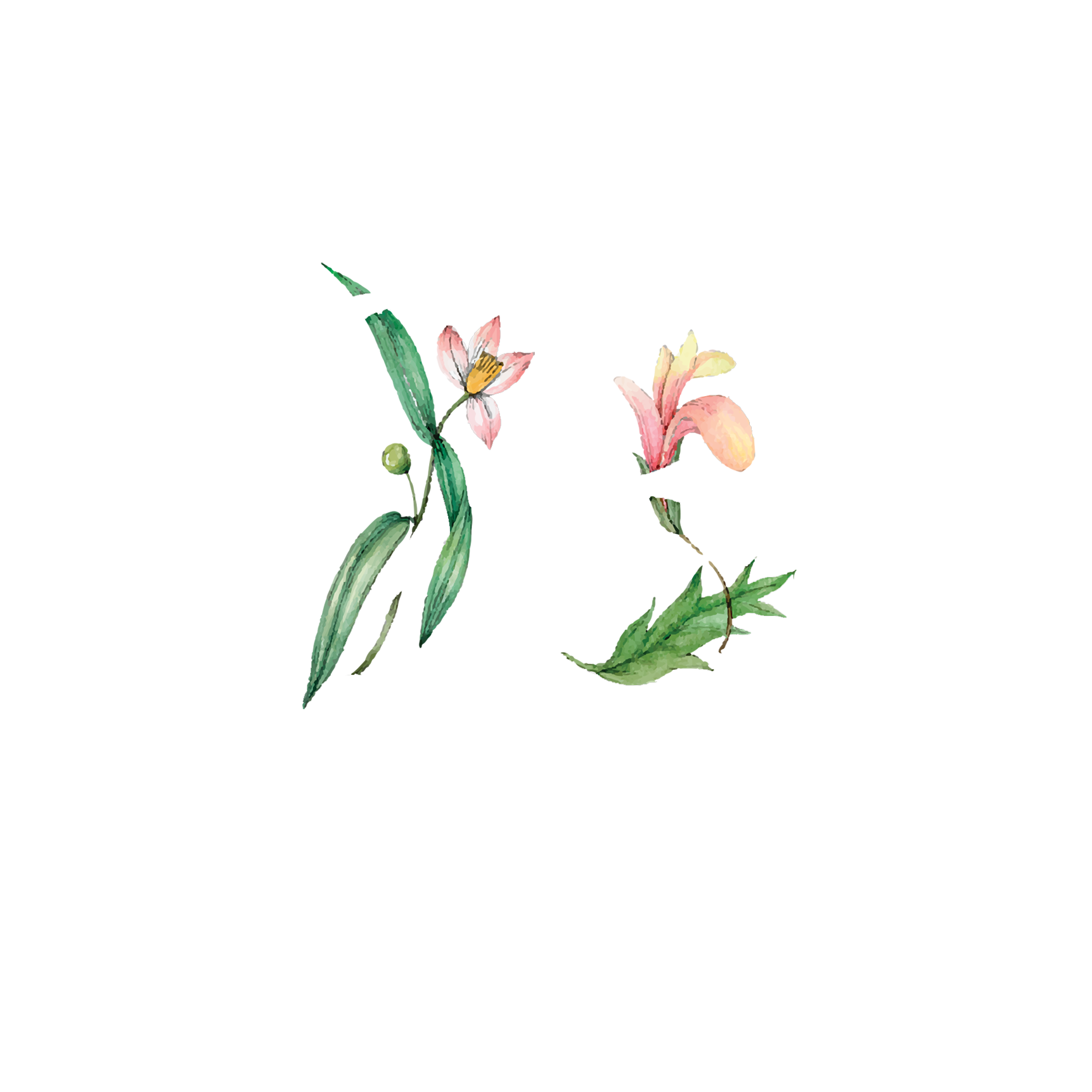 Click to read Day 23 - Reflect