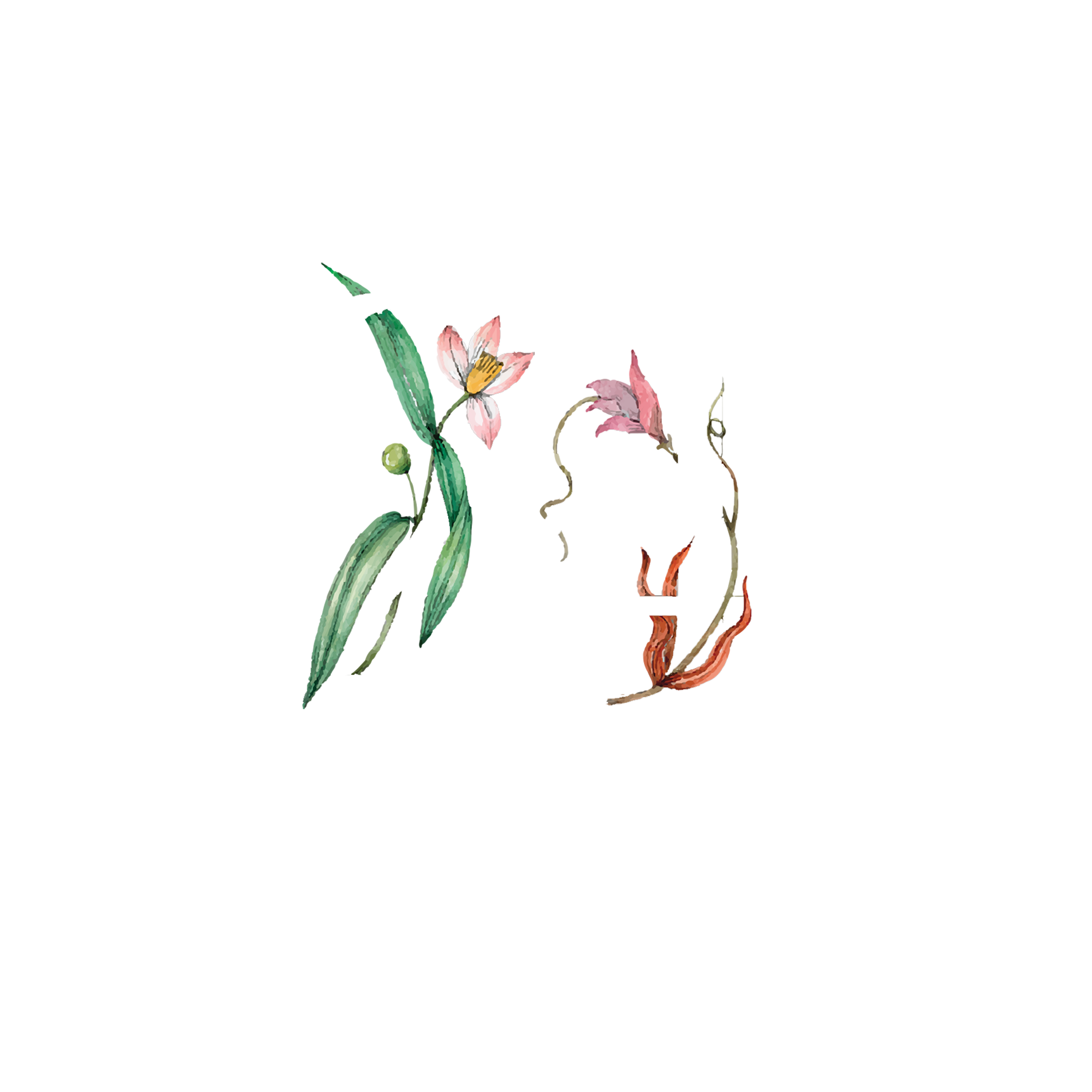 Click to read Day 24 - Non-Judgement