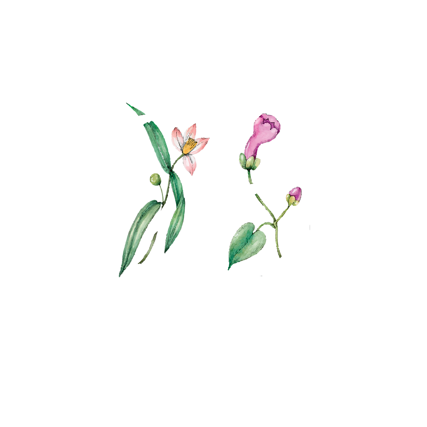 Click to read Day 25 - The Moment