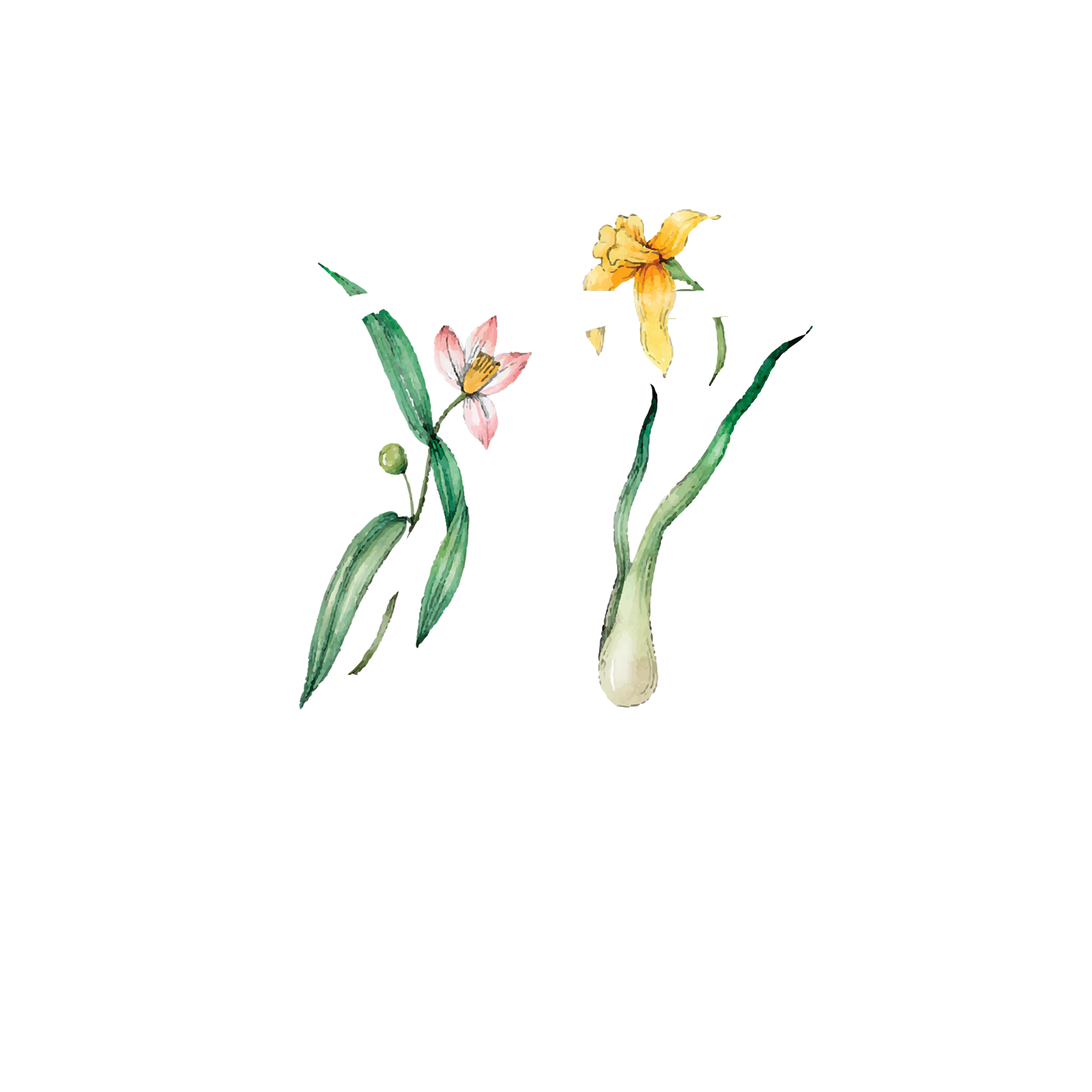 Click to read Day 27 - Breath