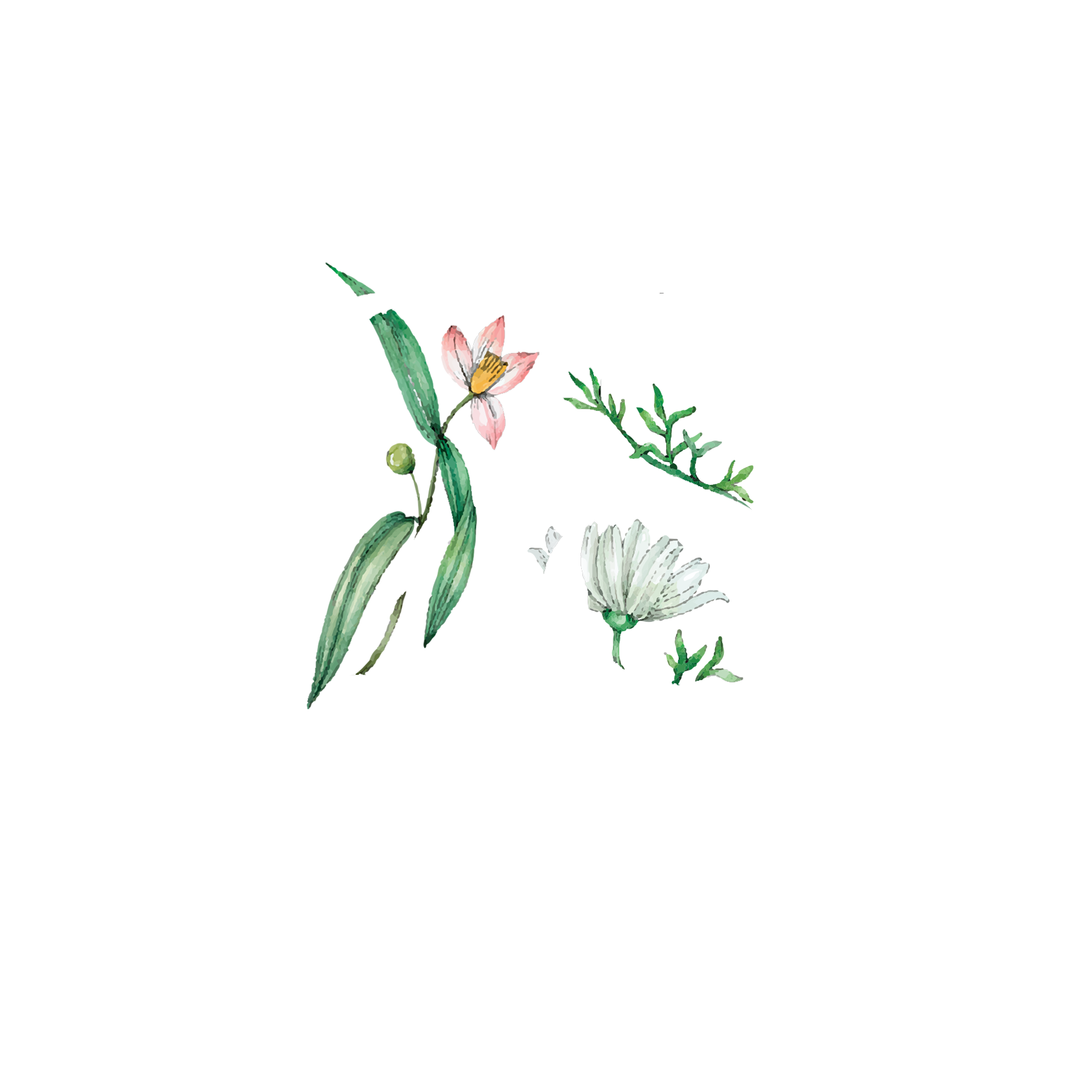Click to read Day 28 - Celebration