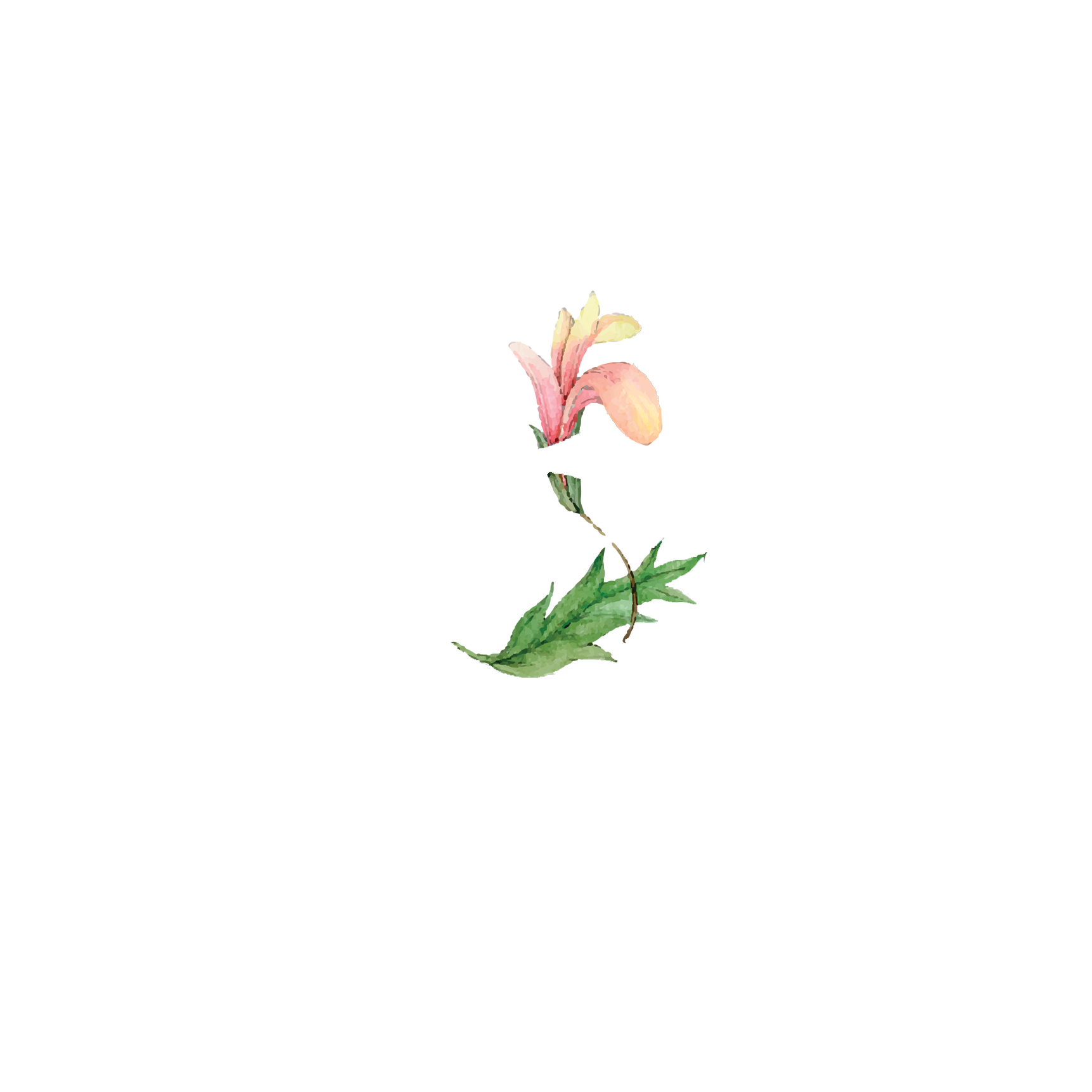 Click to read Day 3 - Body