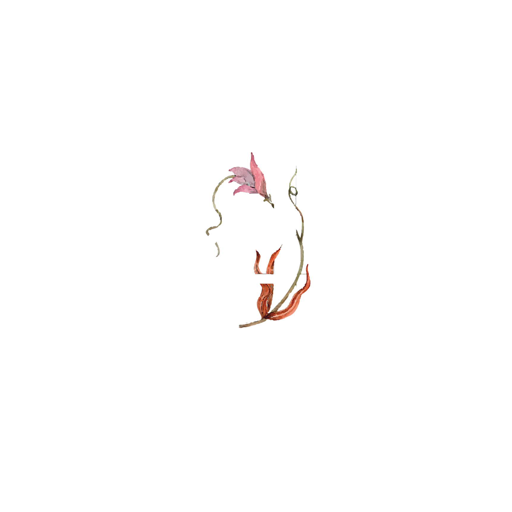 Click to read Day 4 - Senses