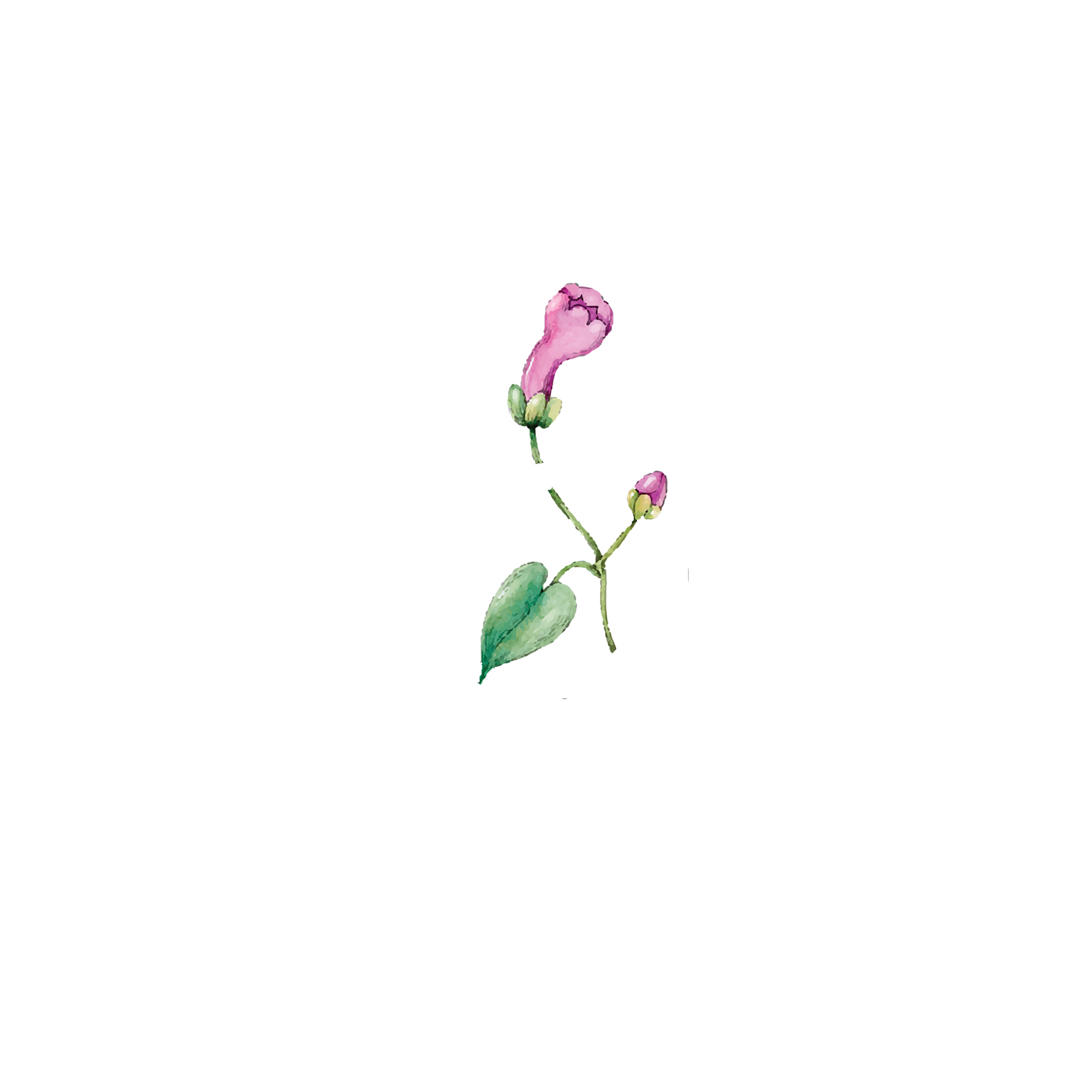 Click to read Day 5 - Movement