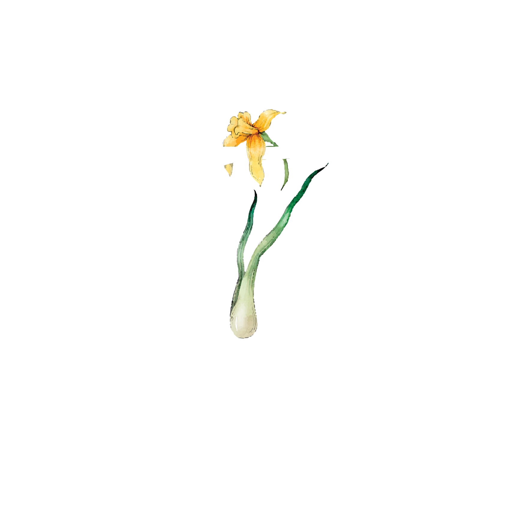 Click to read Day 7 - Self-Compassion