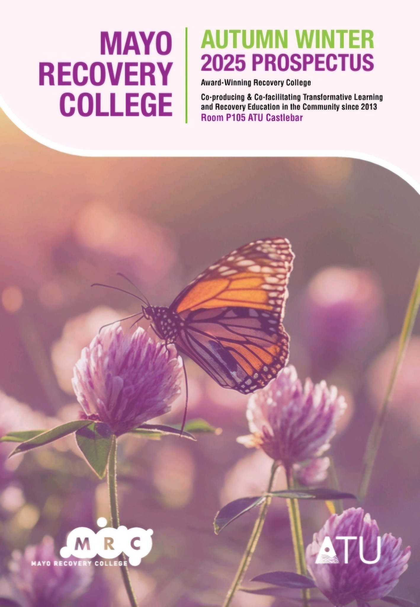 Exploring Stigma – Mayo