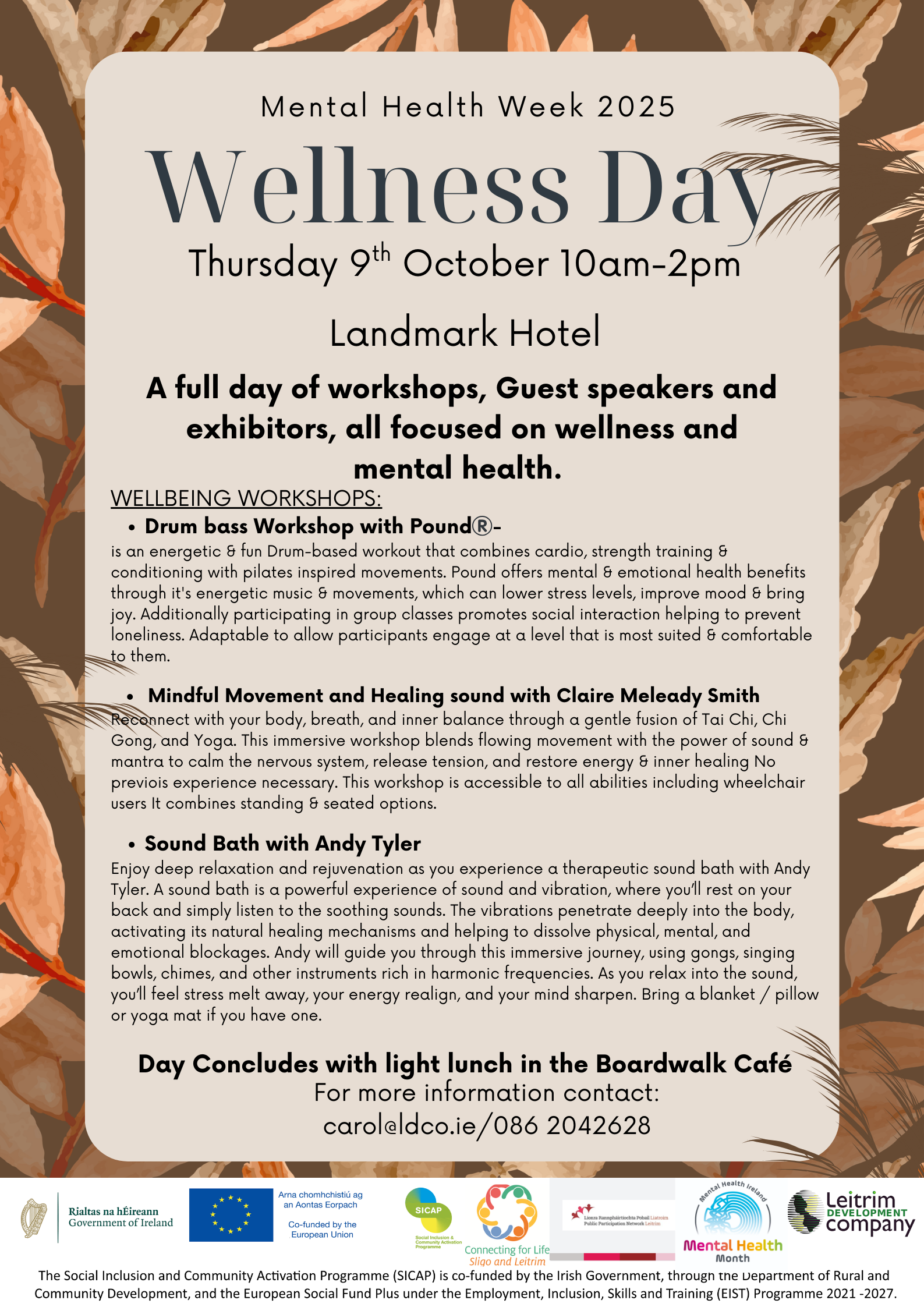 Wellbeing Fair, Carrick on Shannon