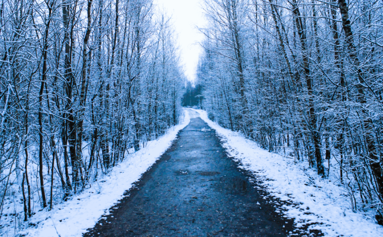 Winter Wellness: Nourishing Your Body and Mind During the Darker Days